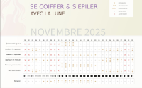 /album/galerie-de-photos-calendrier-lunaire-spiralliss-2013/calendrier-lunaire-cheveux-novembre-2025-png/